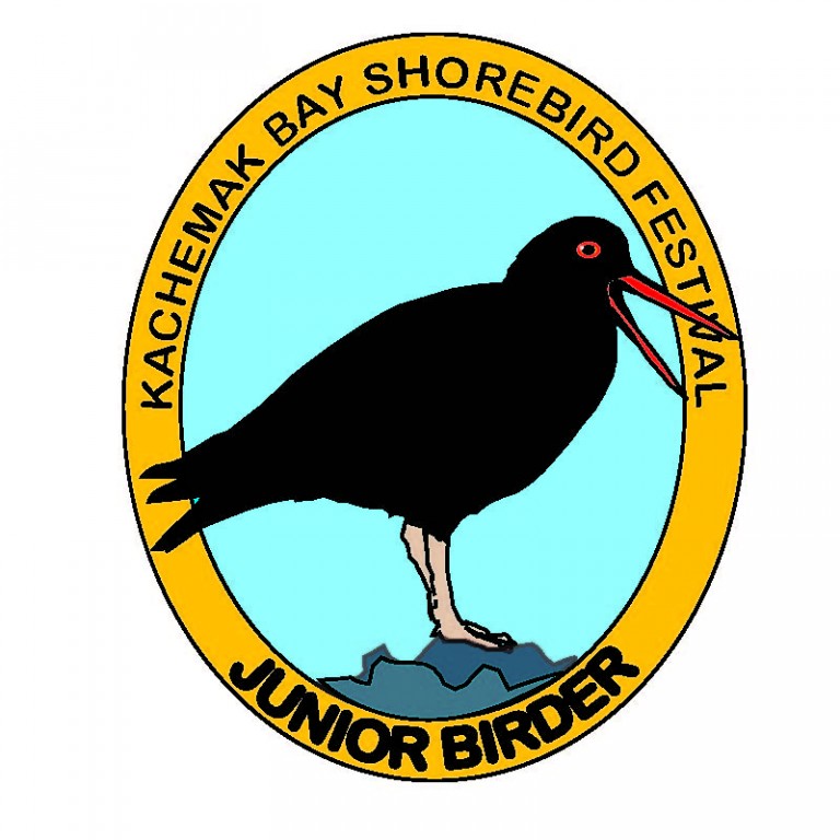 Jr Bird Badge – Kachemak Bay Shorebird Festival