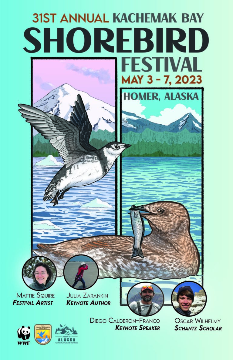 Kachemak Bay Shorebird Festival 32nd Annual, May 8 12, 2024