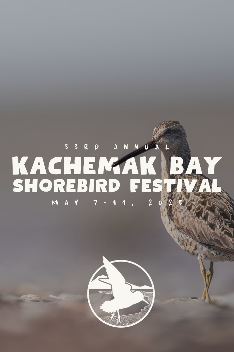 Kachemak Bay Shorebird Festival Web Headers Mobile