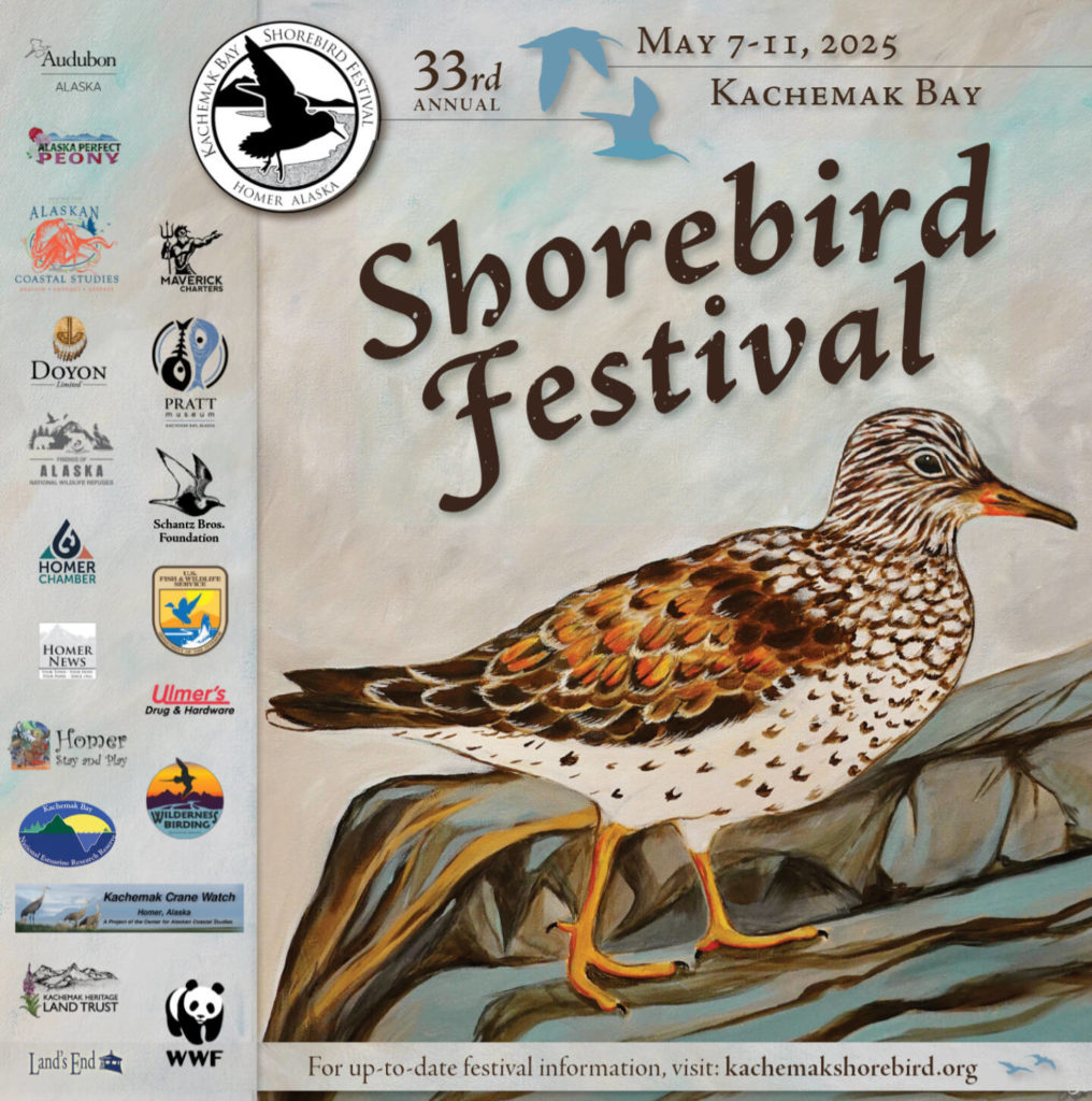 2025 Shorebird Festival Program Cover