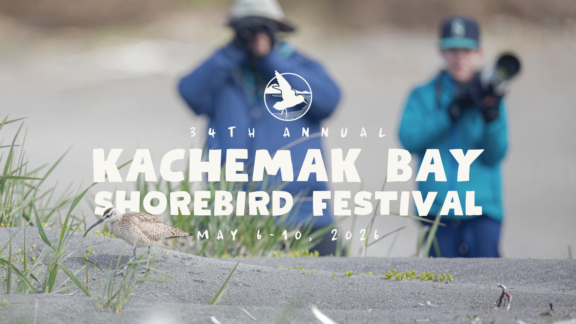 Kachemak Bay Shorebird Festival Website Headers 2025 and 2026 (1)
