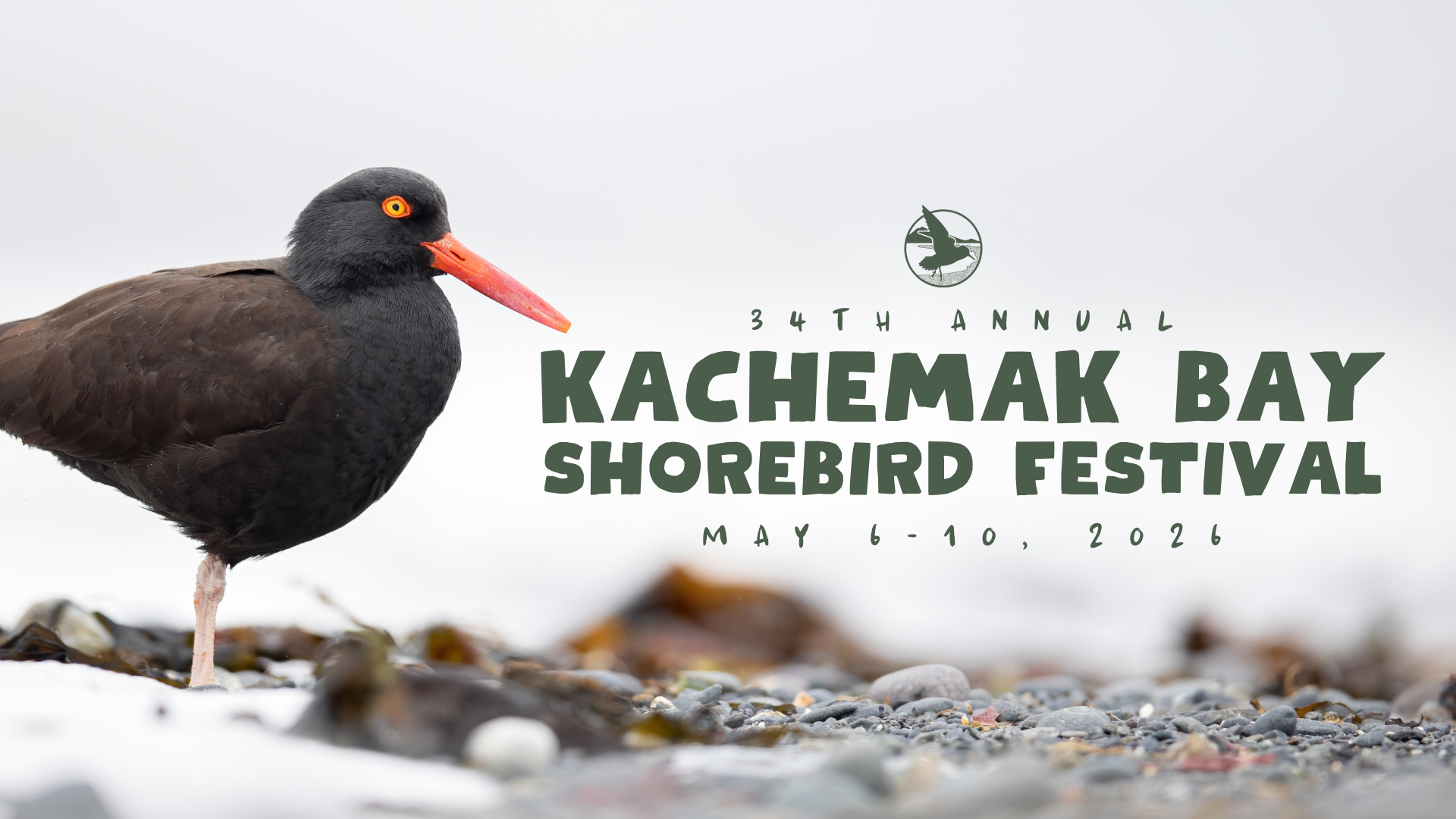 Kachemak Bay Shorebird Festival Website Headers 2025 and 2026